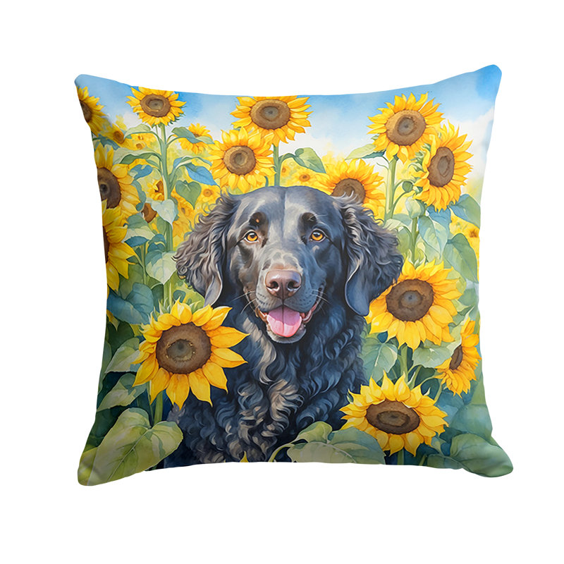 Other/No Pattern Outdoor Throw Pillow, 18"H x 18"W