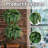 22" Artificial Fern Plant no basket-114511181