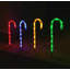 Indoor / Outdoor Luminary & Pathway Lights