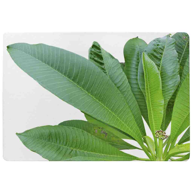 Miriyam Area Rug, Rectangle 140 x 200cm