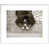 Framed Canvas is unavailable