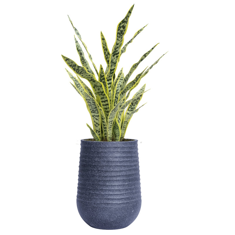 48,08 po plante artificielle en pot, Noir