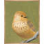 Bird Watching I Print by Ryan Brown-1361439640