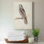Canada Owl - impression sur toile tendue-1778319962