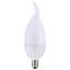 2 Watt White LED Bulb