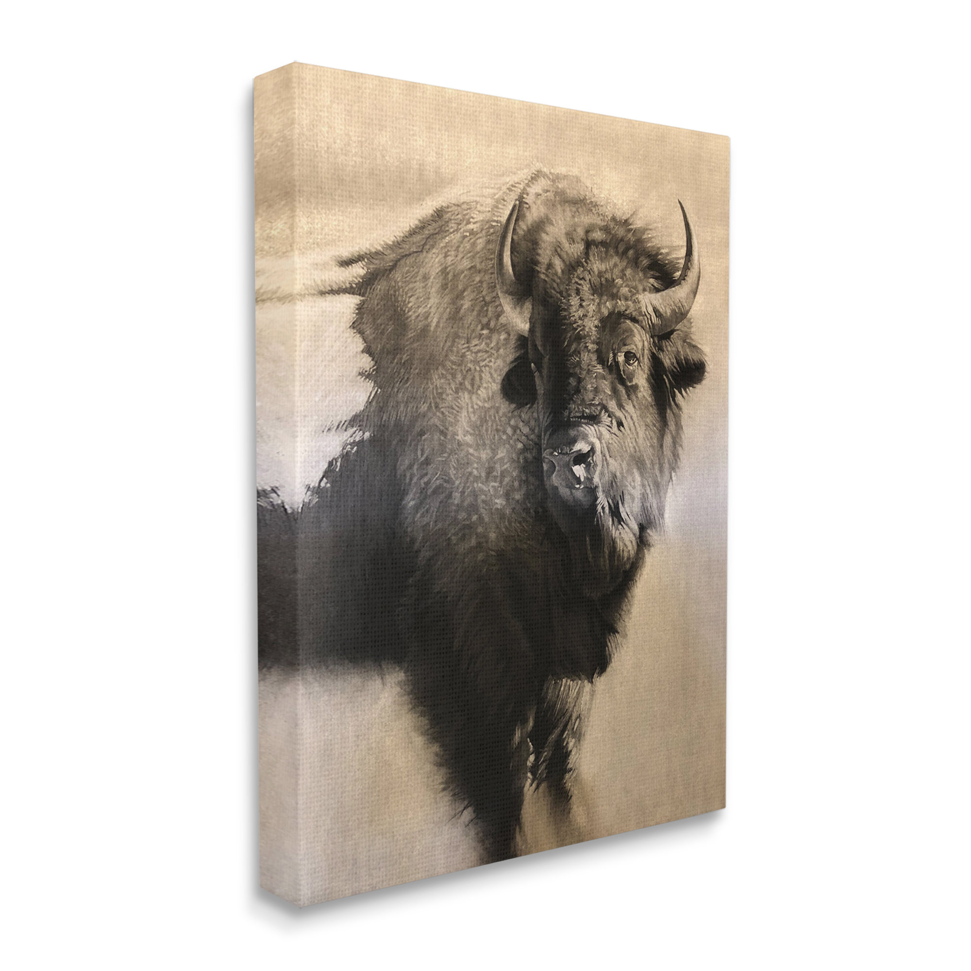 Stupell Industries Young Bull Vintage Portrait Realistic Rustic Drawing ...