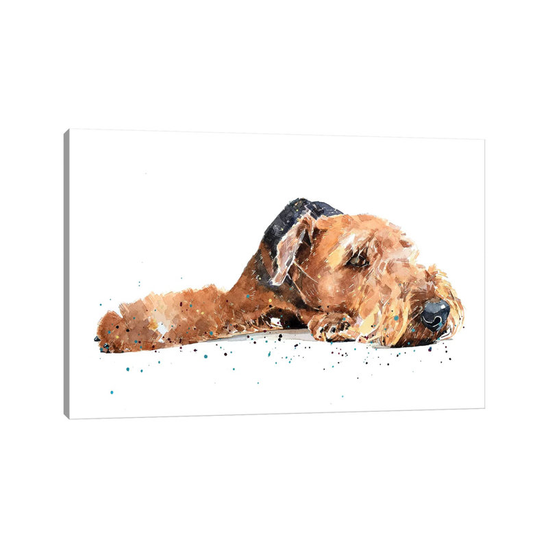 " Airedale " by EdsWatercolours, Wrapped Canvas, No Mat, 18" H x 26" W x 1.5" D