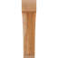 Attelle impériale du genou-29309856-31229286-31229277