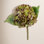 Hydrangea Floral Stems