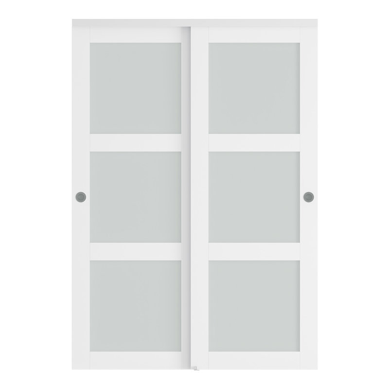 Portes de placard coulissantes en verre givré avec trousse de quincaillerie d'installation, 56 po x 80 po