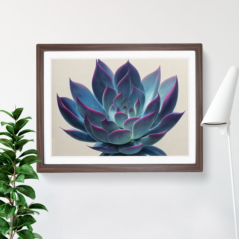 Watercolour Succulent Plant Vol.3 - Framed Print, 46cm H x 64cm W, Brown