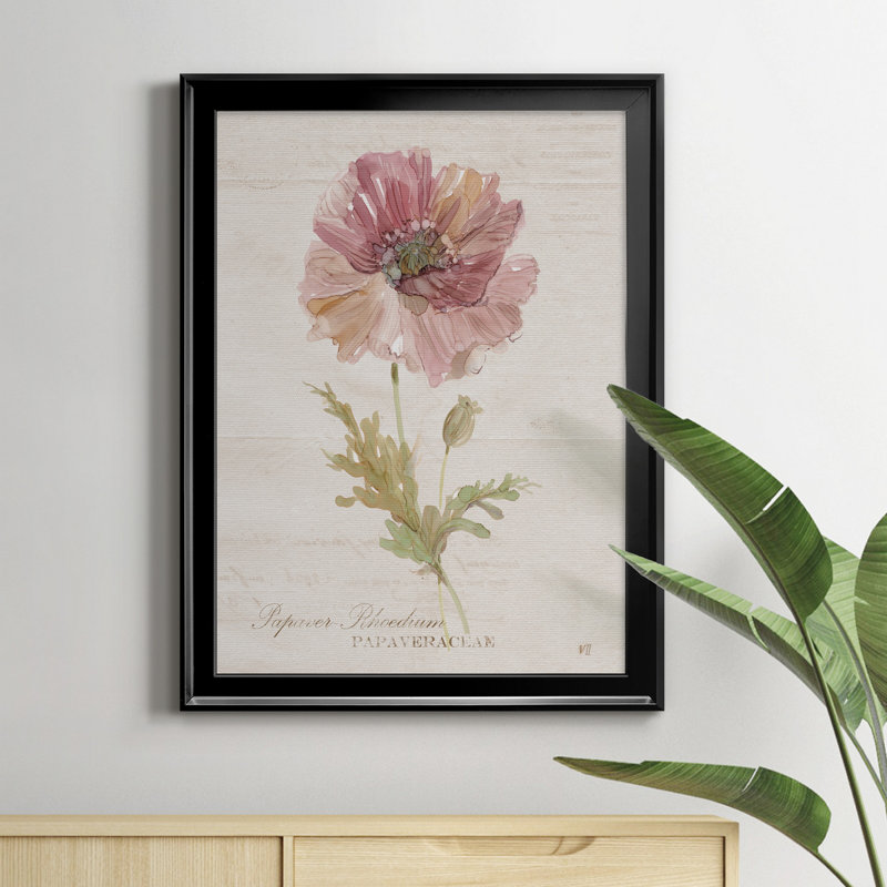 Soft Poppy - peinture sur toile encadrée, H 18,5 po x l 24,5 po x P 1,5 po, Noir