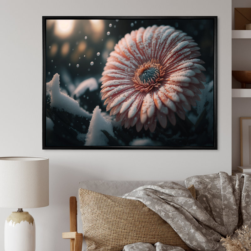 Une fleur de gerbera rose en hiver III - Impression sur toile, H 24 po x l 32 po x P 1 po, Toile avec cadre flottant noir