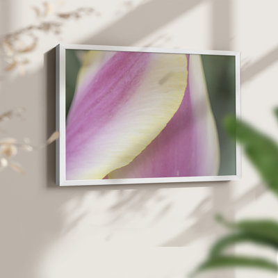 Delicate -Framed Print - Restickable