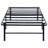 Fischer Bed-1637208780