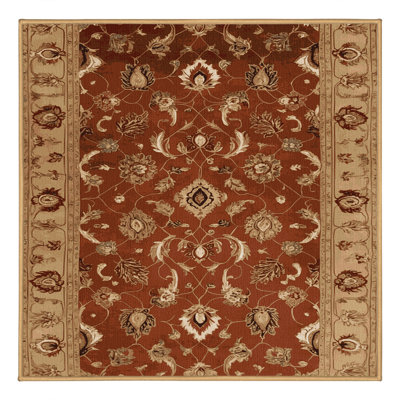 Machine Washable Persian Brown Area Rug