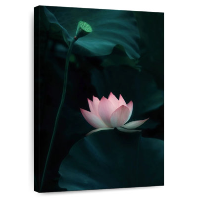 Dark Lotus Flower
