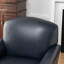 Fauteuil Shalisia-13697758