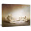 Animal «White Lion Family», impression-35105391-35105394