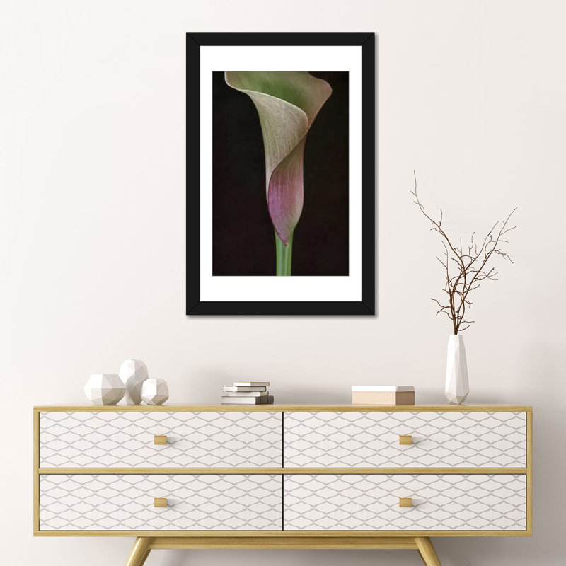 Calla Lily I, reproduction sur toile, H 26 po x l 18 po x P 1,5 po, Toile avec cadre noir, Pas de tapis