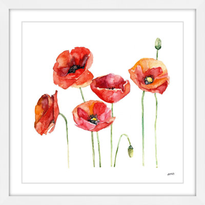 " Poppie Field " by Rachel Byler