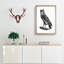 Egyptian Owl Illustration - Picture Frame Drawing Print-55539661-55539660
