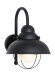 Audrey Seeded Glass Outdoor Barn Light