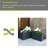 Octavla Pot Planter-1731161179