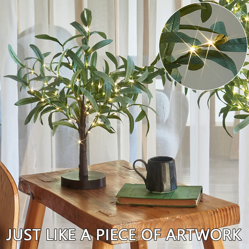 Little Lighted Bonsai Olive Tree with Timer