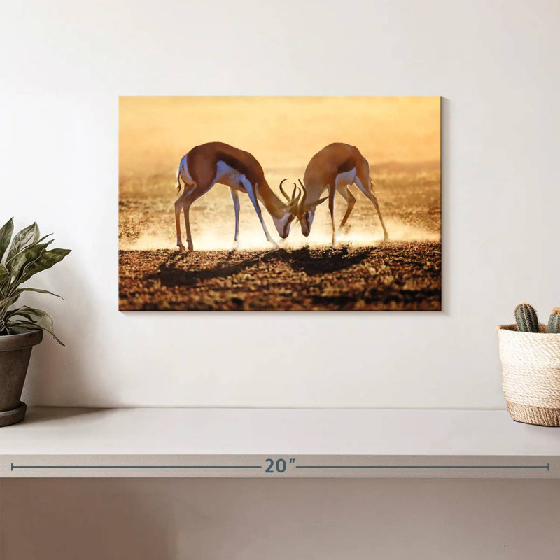 Brampt Antelope Springbok Duel, 8" H x 12" W