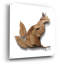  «Falling Leaves Cat» par Ann Klee, art mural en verre acrylique, 36 po x 36 po-619162711