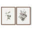 «Vintage Floral XXV», impression giclée sur cadre - ensemble de 2-1839849057-1839849086