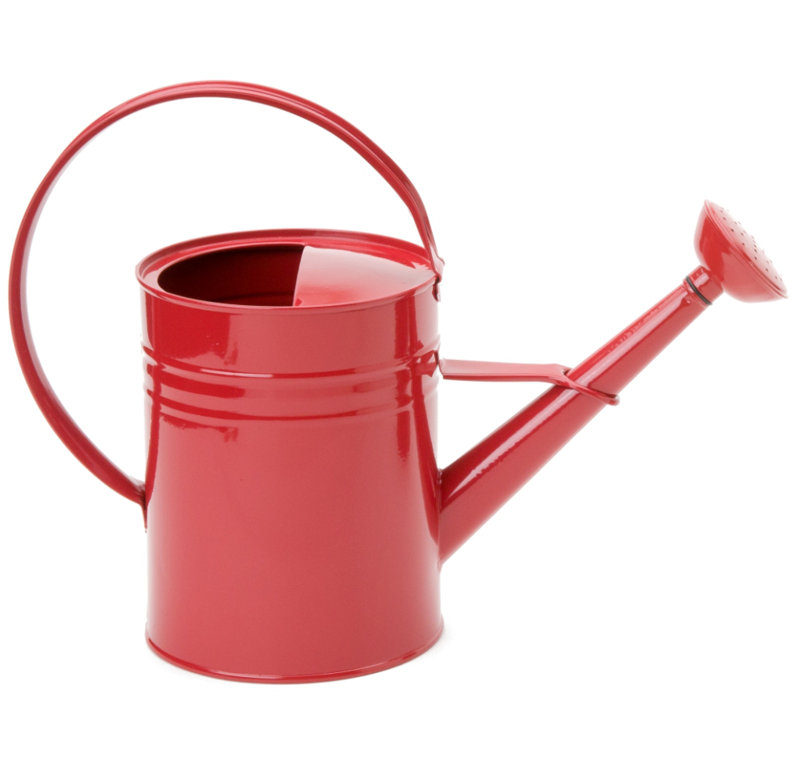 Arrosoir en acier galvanisé émaillé 1 gallon, Rouge