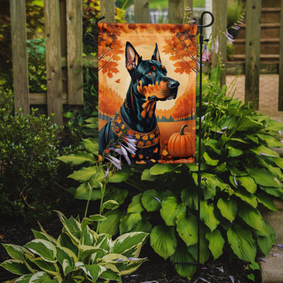 Drapeau de jardin Doberman Pinscher