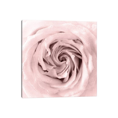 Rose Center I by Kimberly Allen - Wrapped Canvas Gallery-Wrapped Canvas Giclée