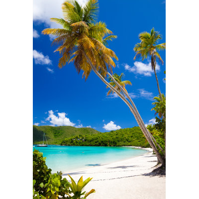 Palm Trees At Beach by Cdwheatley - No Frame Art Prints on Canvas