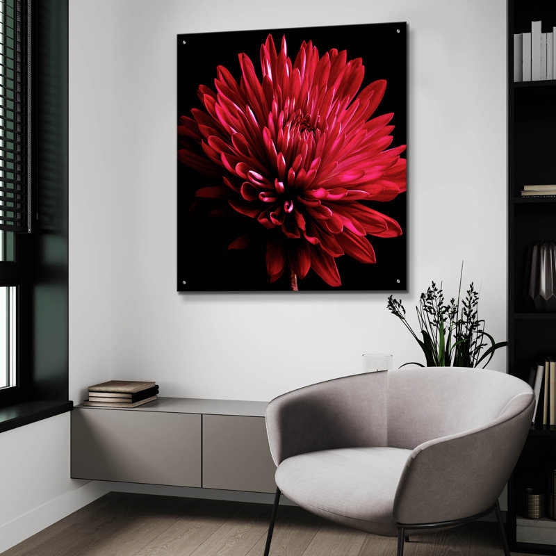«Red Chrysanthemum On Black» par Tom Quartermaine, H 36 po x l 36 po x P 0,2 po