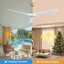 Ventilateur de plafond 60 po Uma-1335737924