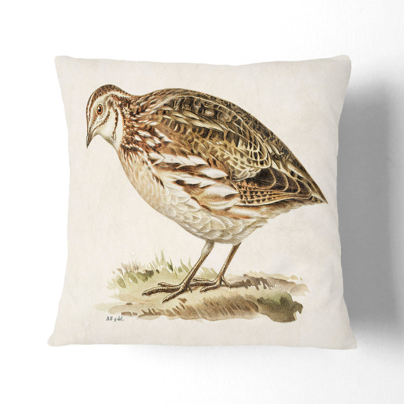 Square Throw Cushion, 40cm H x 40cm W x 15cm D, Stone