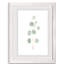 Douce branche d'eucalyptus II - Peinture encadrée sur papier-1547359568-1547359572