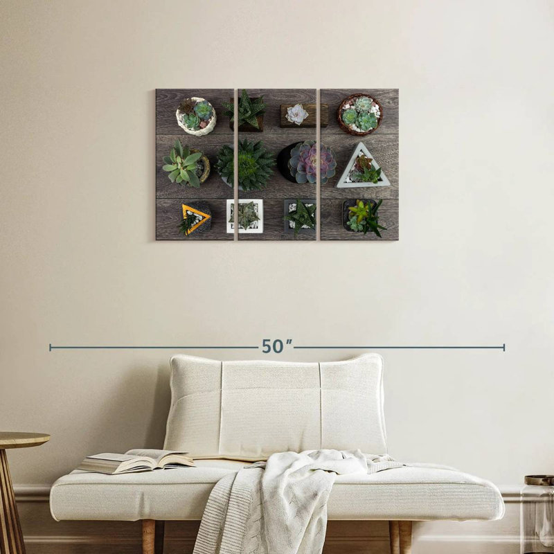 Harnek Assorted Succulents, 20" H x 33" W