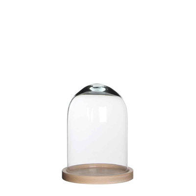 Isra Glass Terrarium