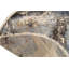 Hand-Knotted High-Quality Multi-Colored and Multi-Colored Area Rug