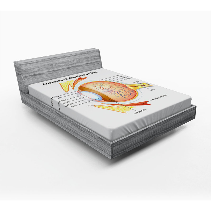 Microfiber Fitted Sheet, Queen Fitted Sheet