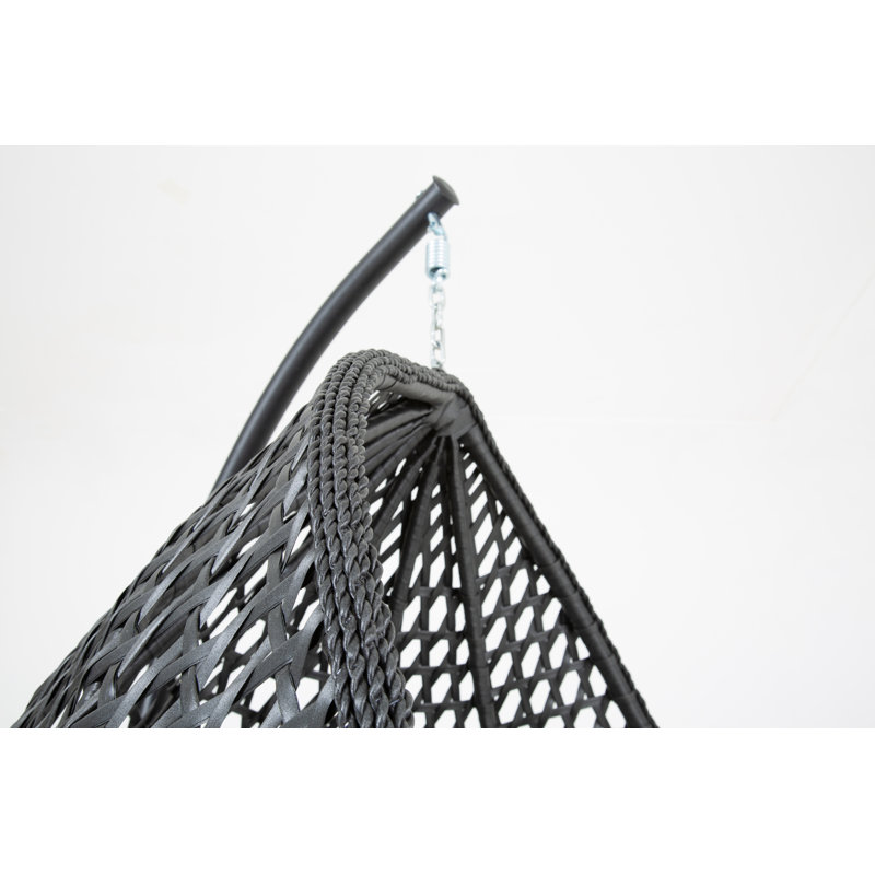 Pagnano Swing Chair with Stand