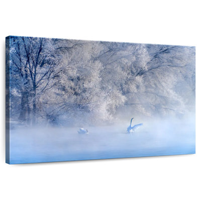 Alvord Swan Lake II