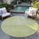 Segin Area Rug with Non-Slip Backing