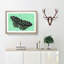 Mint Green Butterfly - Picture Frame Graphic Art Print-56859676-56859680