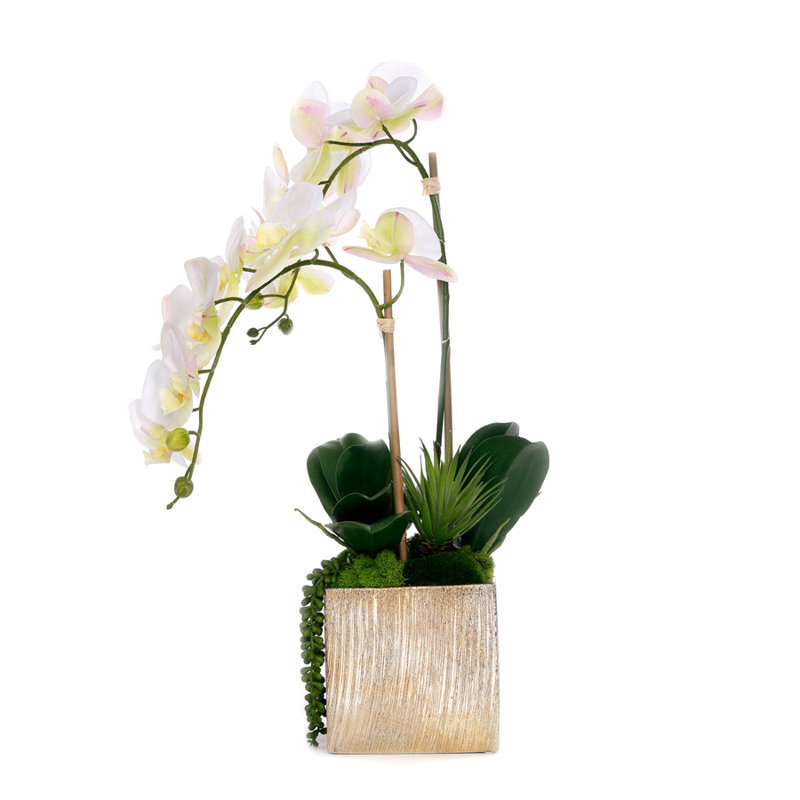 Arrangement floral orchidée en pot