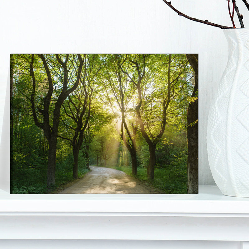 «Evening in Green Forest», art mural sur toile, H 8 po x l 12 po, Toile tendue